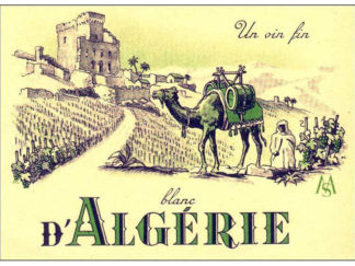 Algeria - White Wine Label in French, with Vineyard, Palm Trees, Castle, Camel Etc