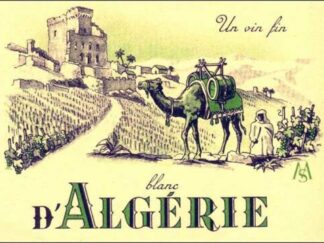 Algeria - White Wine Label in French, with Vineyard, Palm Trees, Castle, Camel Etc